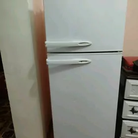 халадельник