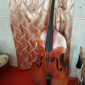 контрабас
