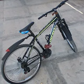sport welsepit