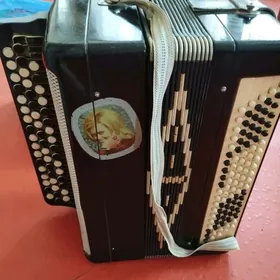 баян