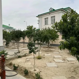 SATLYK.  ÇOGANLY  ÇYZGY KATEZ