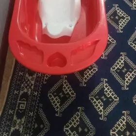 çaga wanna