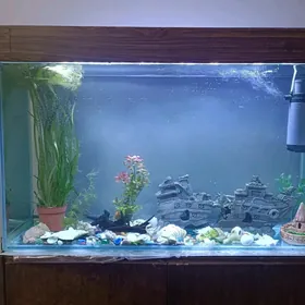 Akvarium 300lt