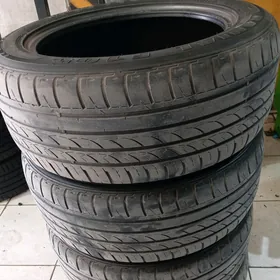 225 55 17 4şt