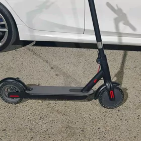 Scooter Tokly.