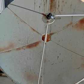 uly antena