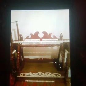tokly salanjak
