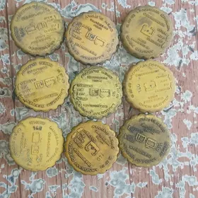 kryşka suw baçok mordañky