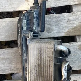 karopka redyator