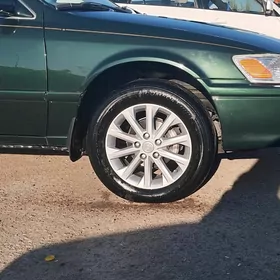 palta  camry xle disga 16lyk