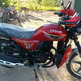 Fekon FK150-8G 2025