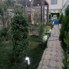 Çoganly Full Dom