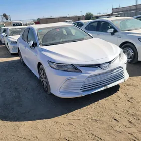 Toyota Camry 2020