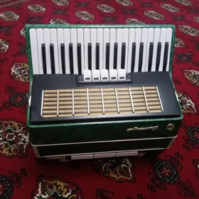 AKKARDION