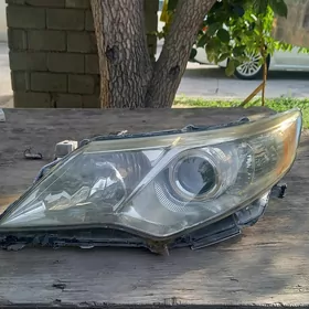 Palta Camry Fara