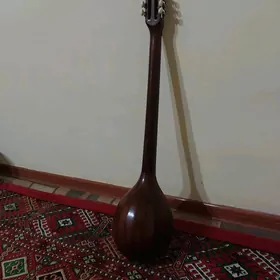 Plektra dutar