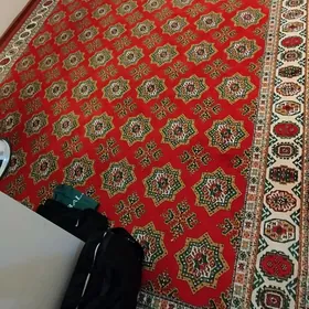 Haly boýy 5. ini 3