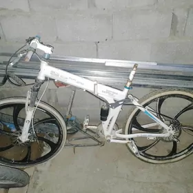 BMW tigir