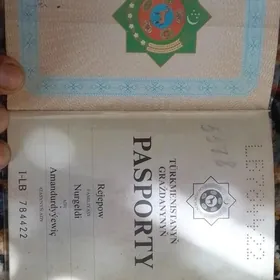 паспорт йитди