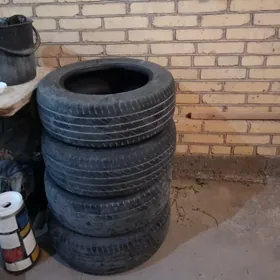 шины