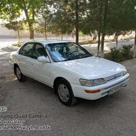 Toyota Corolla 1995