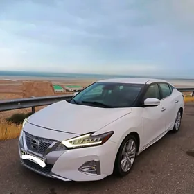 Nissan Maxima 2020