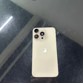 iphone x (16pro)