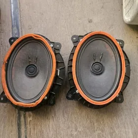 jbl okuz kelle radnoy