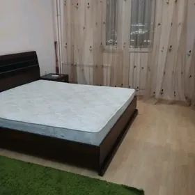 Satlyk poluelitka 2 kom