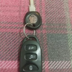 Acar