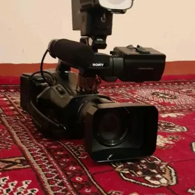 NX50