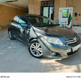 Toyota Corolla 2010