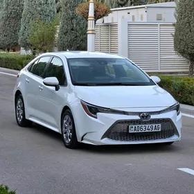 Toyota Corolla 2020