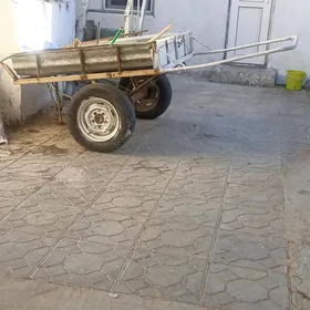 arawa