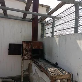 Mangal