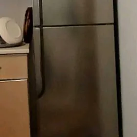Holodilnik Samsung