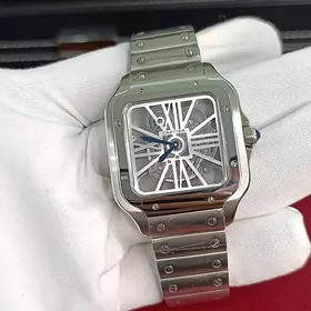 sagat Cartier Santos lux