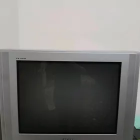 Televizor
