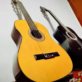 FENLIN orginal gitara
