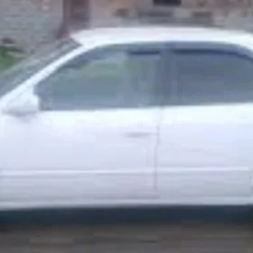 Camry-Amerika 99-01ý gapy molding