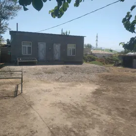 şor gardmak