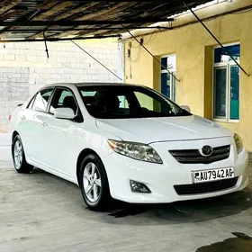 Toyota Corolla 2010