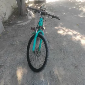 Turkmenistan tigir
