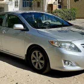 Toyota Corolla 2010
