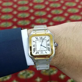 sagat Cartier Santos