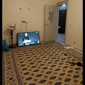 От хозяина Срочно Грэс