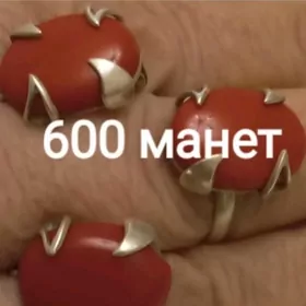 СЕРЕБРЯНЫЙ КОМПЛЕКТ