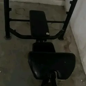 Trenaźor