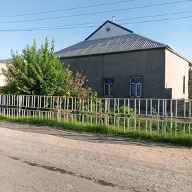 Kotež jay