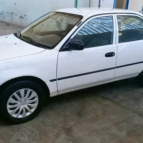 Toyota Corolla 1995